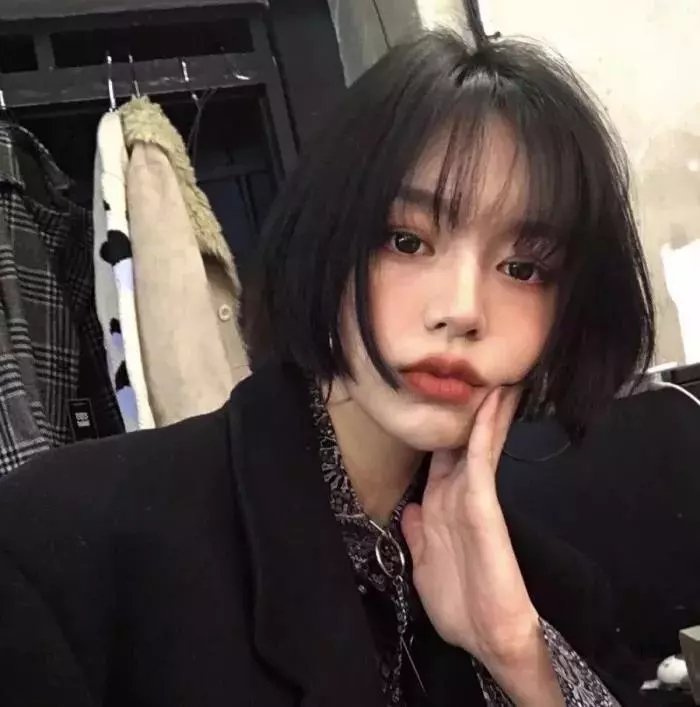 给我庇护
